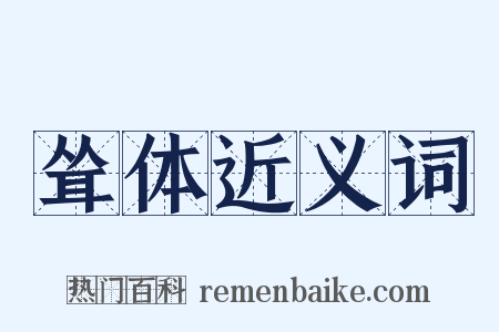 耸体近义词是什么意思的图片